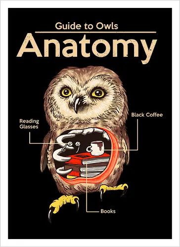 Anatomy of Owls