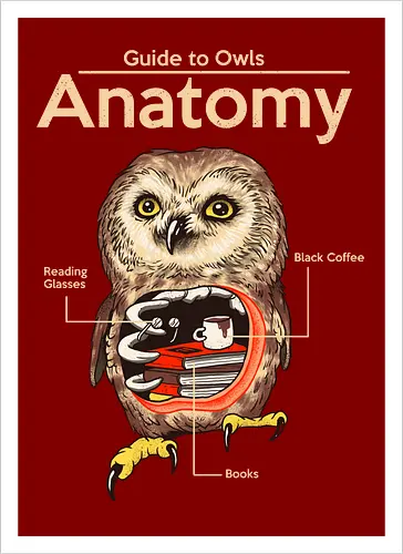 Anatomy of Owls