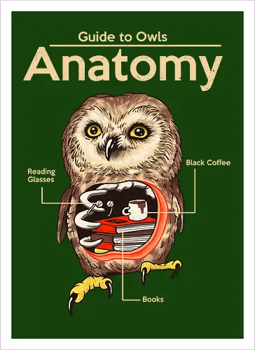 Anatomy of Owls