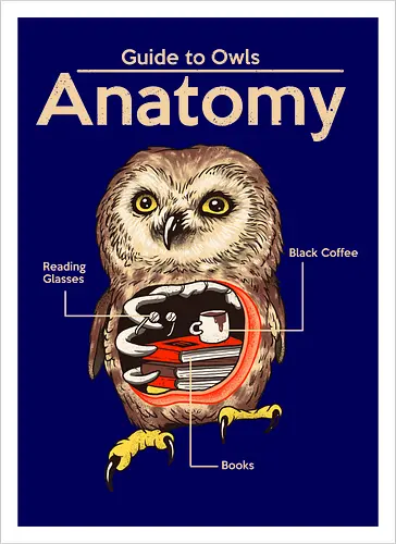 Anatomy of Owls