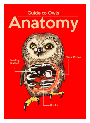 Anatomy of Owls