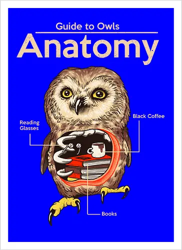 Anatomy of Owls