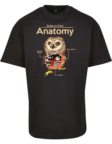 Anatomy of Owls