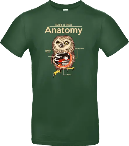 Anatomy of Owls