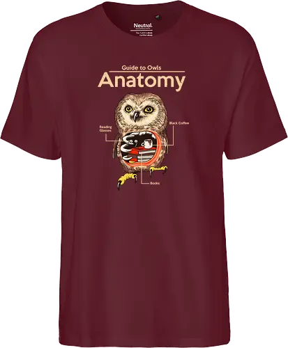 Anatomy of Owls