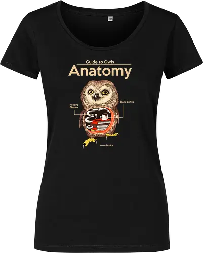 Anatomy of Owls