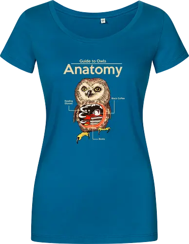 Anatomy of Owls