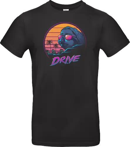 Slow Drive