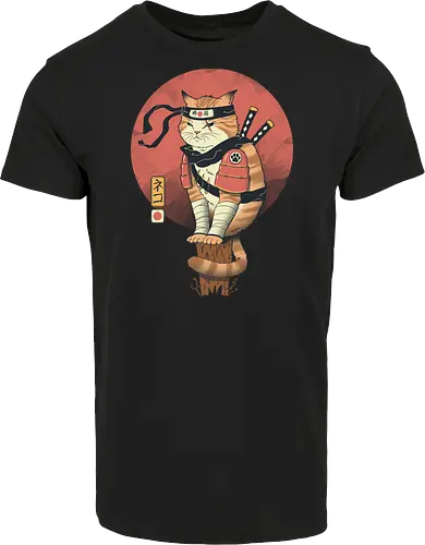 Shinobi Cat