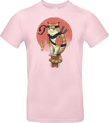 Shinobi Cat