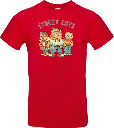 Street Cats