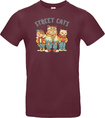 Street Cats
