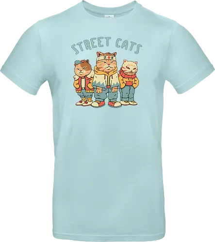 Street Cats