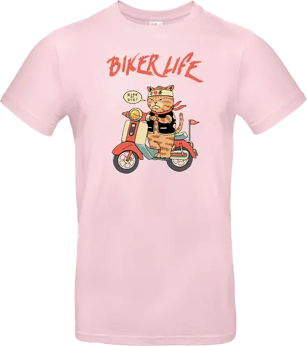 Motor Cats
