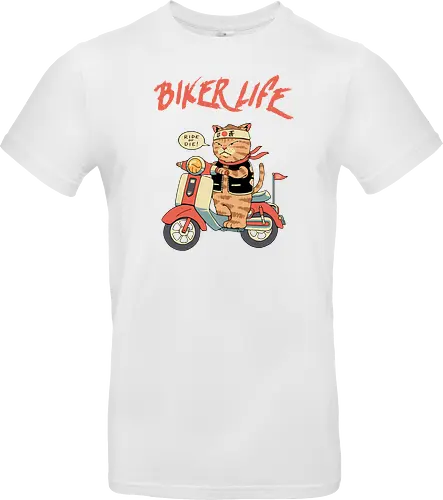 Motor Cats
