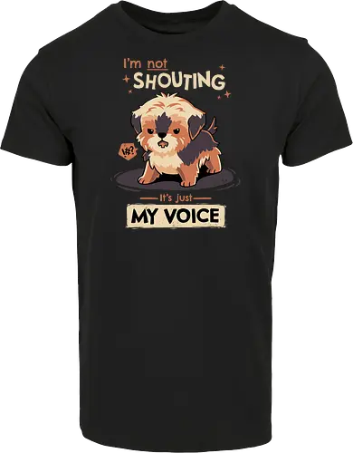 My Voice