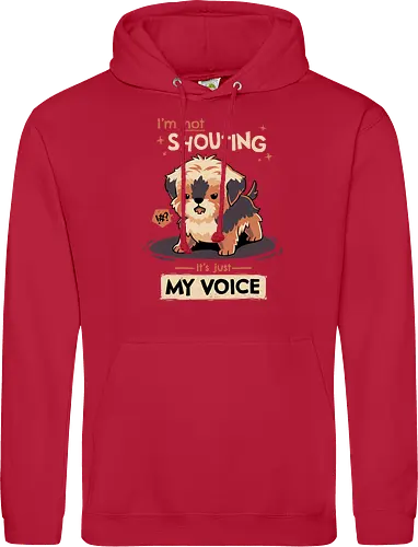 My Voice