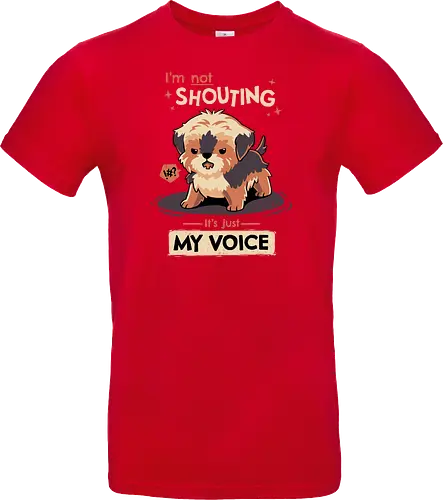 My Voice