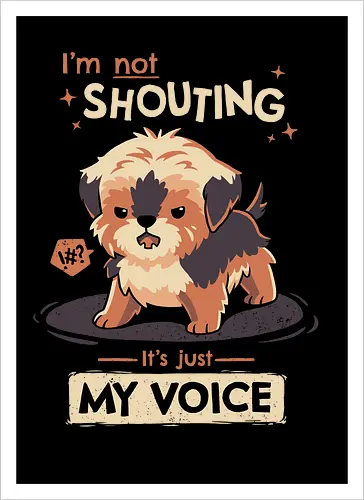 My Voice