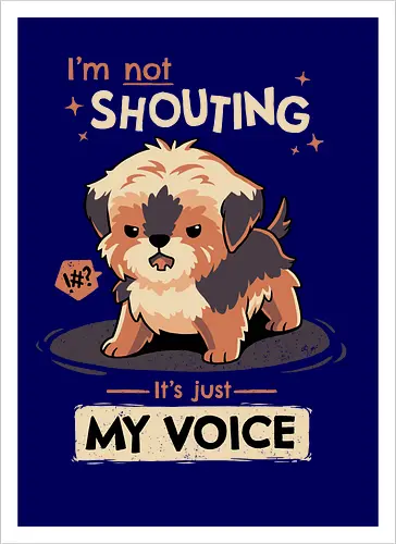 My Voice