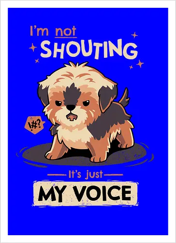 My Voice