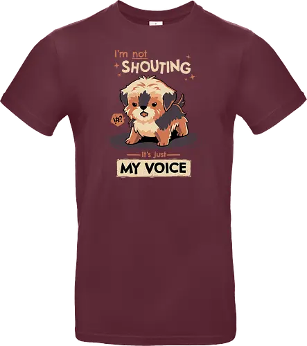 My Voice