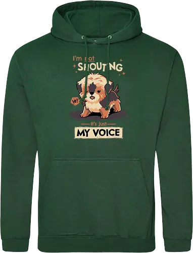 My Voice