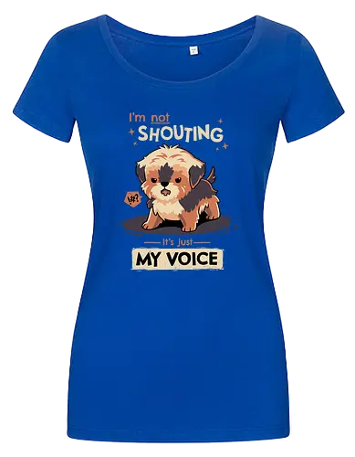 My Voice