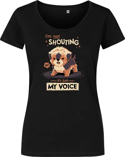 My Voice