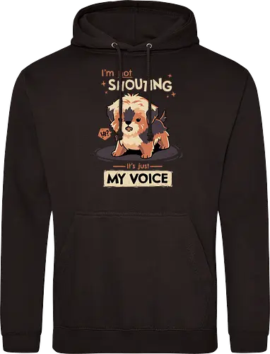 My Voice