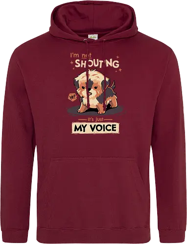 My Voice