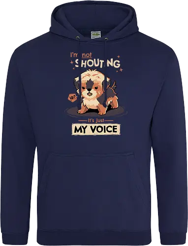 My Voice