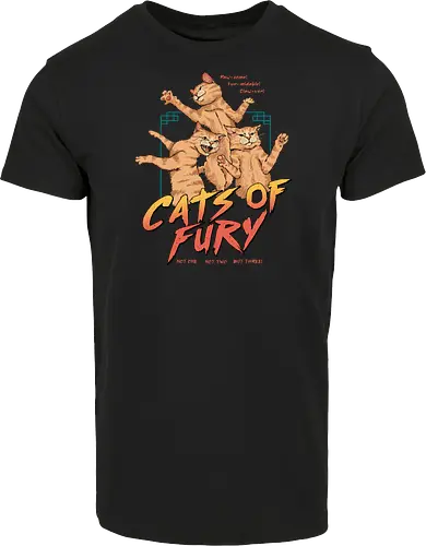 Cats of Fury!