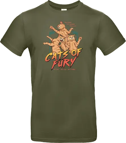 Cats of Fury!