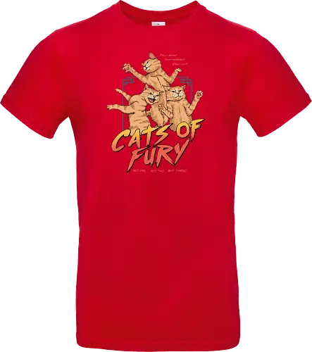 Cats of Fury!