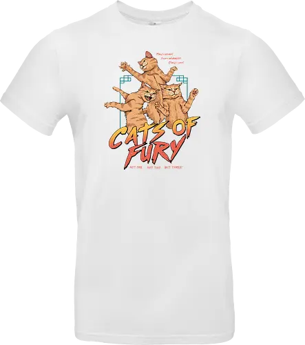 Cats of Fury!