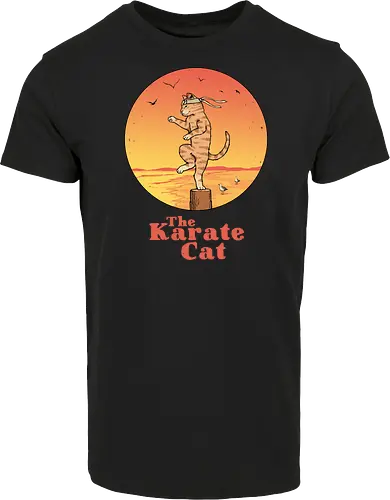The Karate Cat