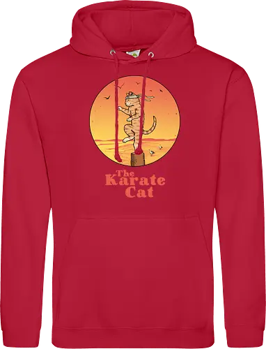 The Karate Cat