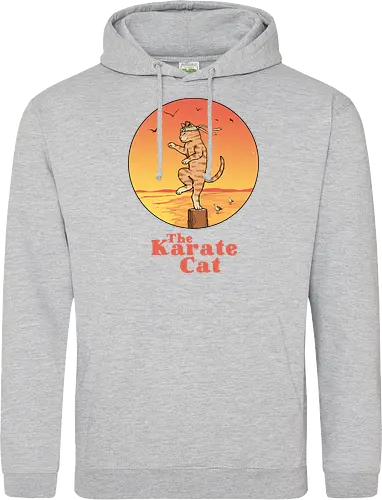The Karate Cat