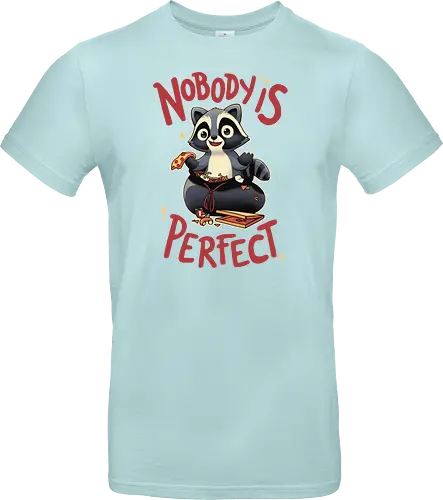Nobody is Perfect