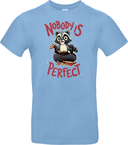 Nobody is Perfect
