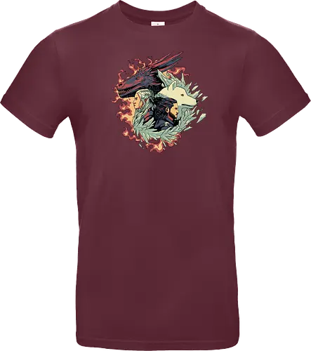 Ice and Fire