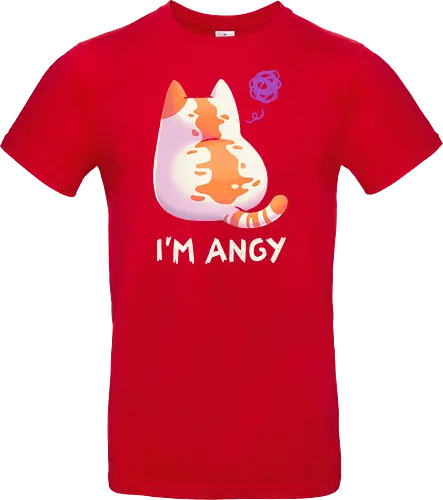 Angy Cat