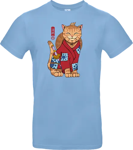 Pirate Meowster