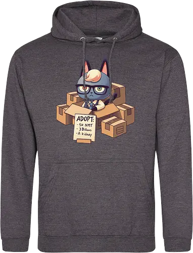 Cat in Boxes