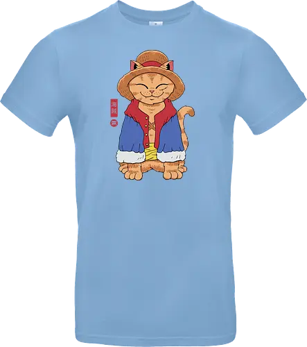 Straw Hat Cat
