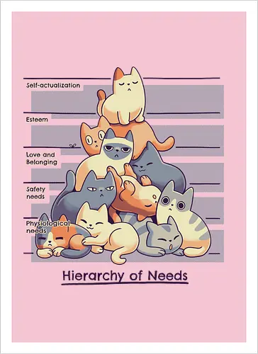 Hierarchy of Needs - Cats