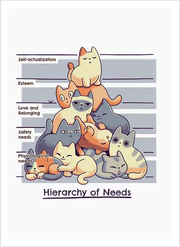 Hierarchy of Needs - Cats