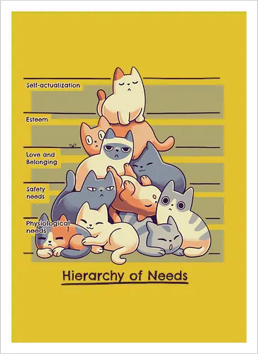 Hierarchy of Needs - Cats