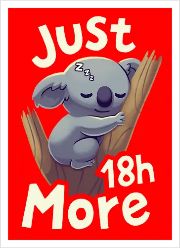 Koala Just 18h More
